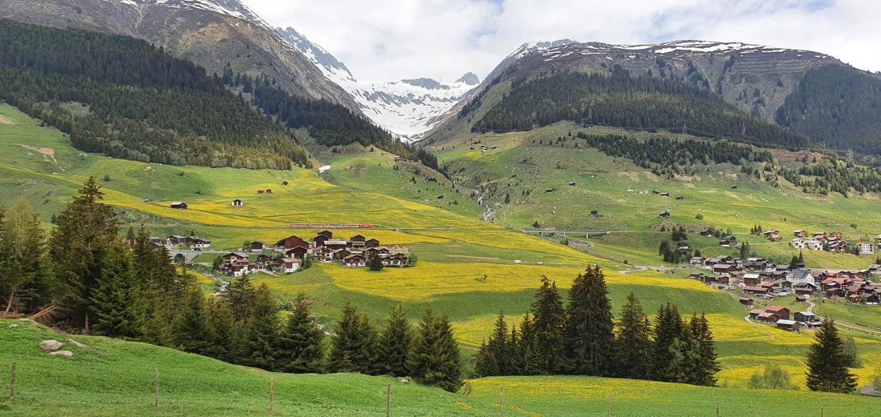 Yeti Lodge سيدرن المظهر الخارجي الصورة
