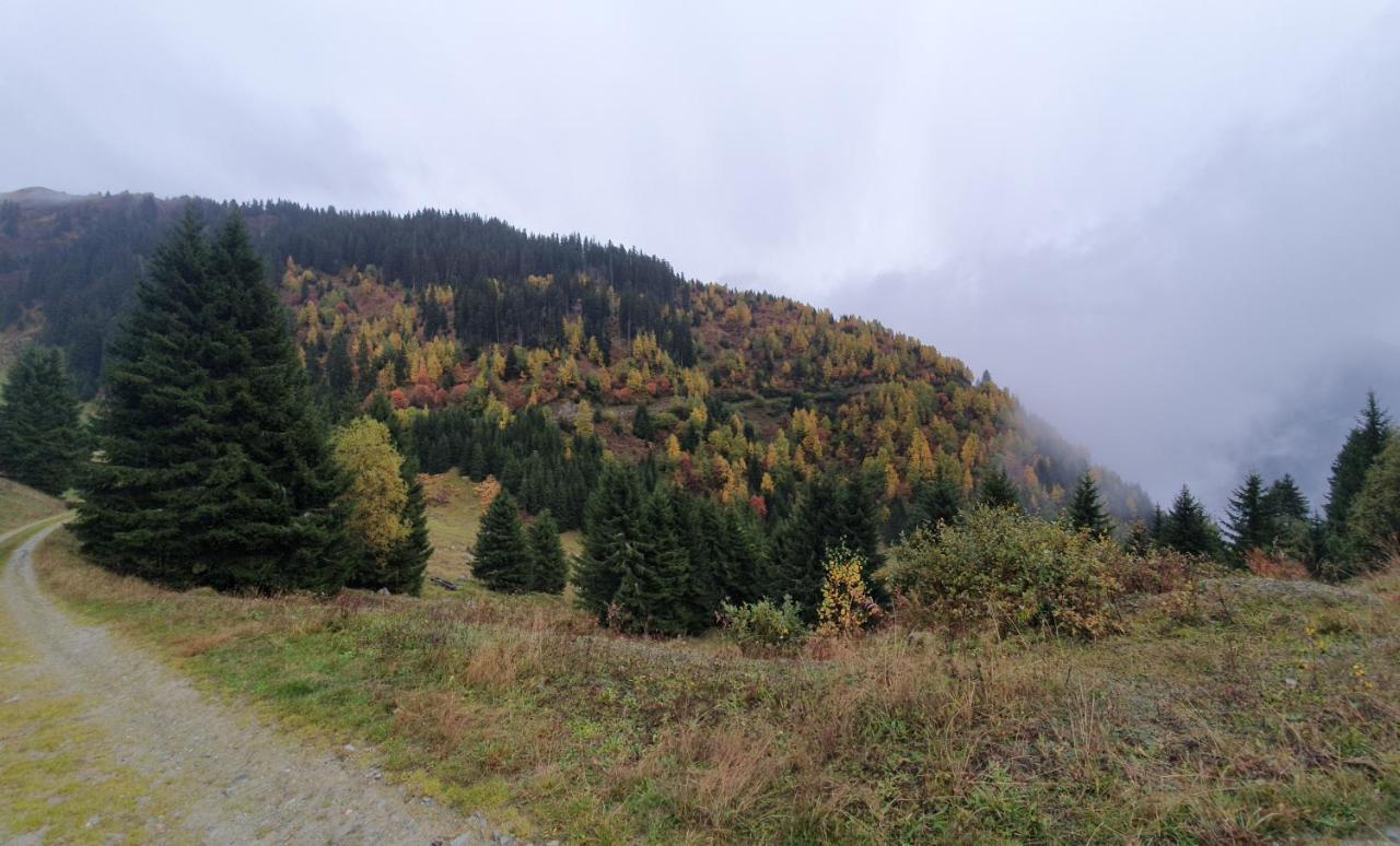 Yeti Lodge سيدرن المظهر الخارجي الصورة